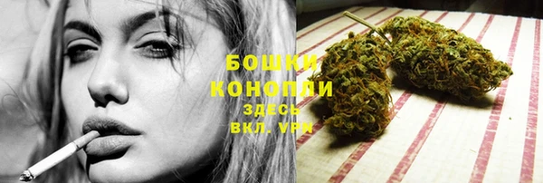 крисы Чекалин