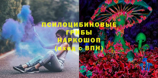 герыч Кедровый