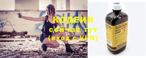шишки Чегем