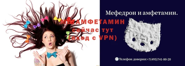 шишки Чегем