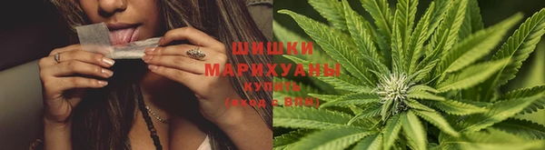 крисы Чекалин