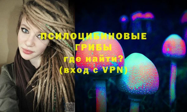 метадон Кизел